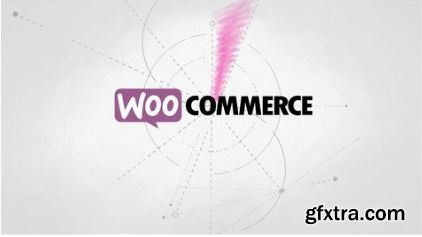 Wordpress E-commerce 2017 woocommerce plugin introduction