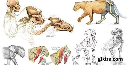 The Gnomon Workshop - Introduction to Animal Anatomy