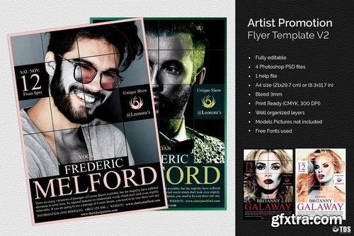 GraphicRiver - Artist Promotion Flyer Template V2 13492668