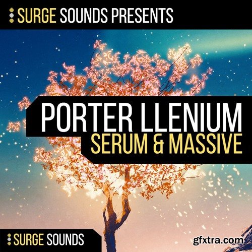 Surge Sounds PORTER ILLENIUM WAV MiDi XFER RECORDS SERUM NATiVE iNSTRUMENTS MASSiVE-DISCOVER