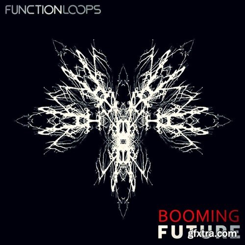 Function Loops Booming Future WAV MiDi-DISCOVER