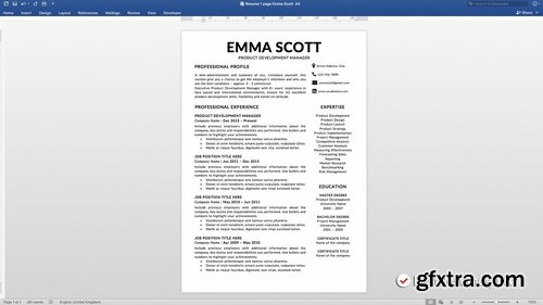 CM - Professional Resume Template Word 2298637