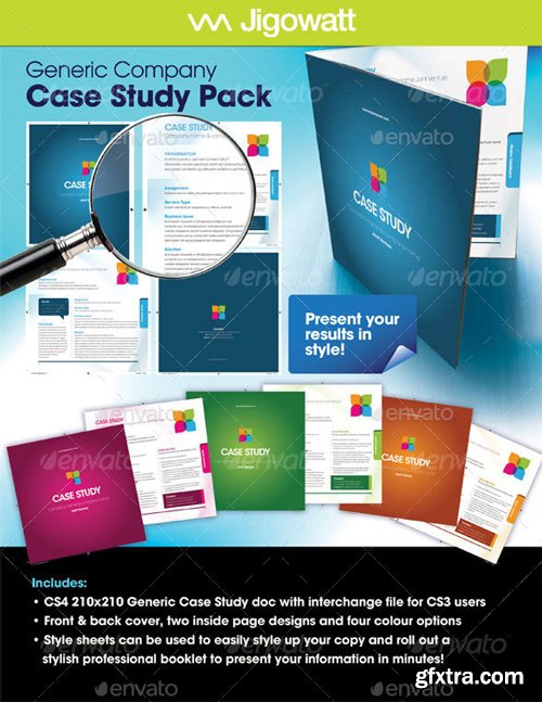 GraphicRiver - Generic Company Case Study - 105198