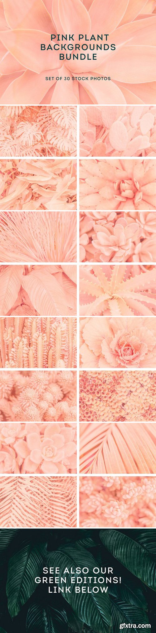 CM - Pink backgrounds bundle 2229883