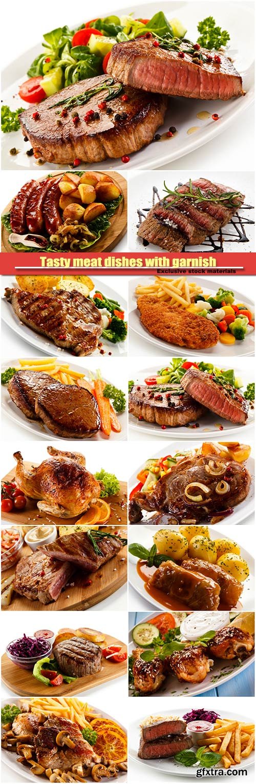 Fried meat, tasty meat dishes with garnish