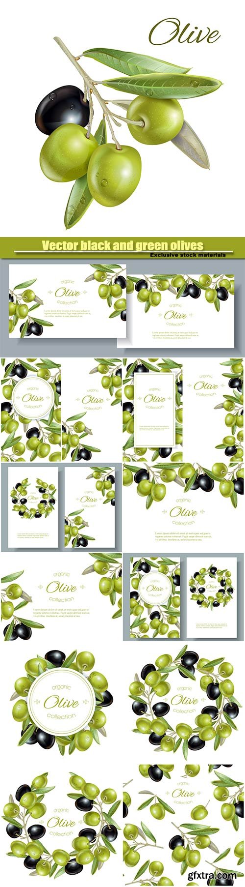 Vector black and green olives on white background