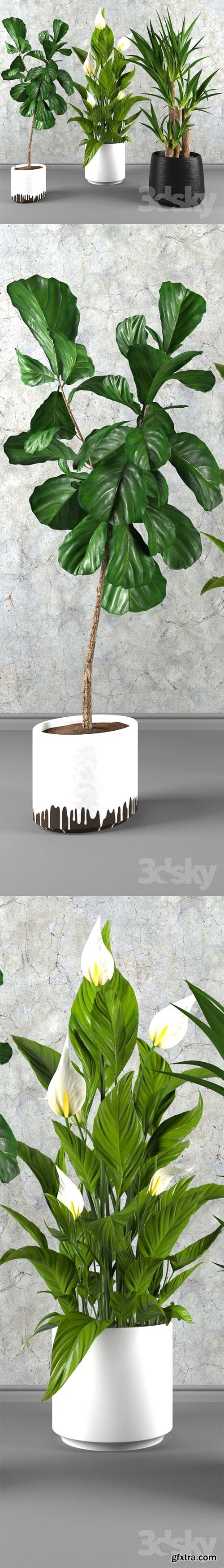 Contemporary houseplant set 3