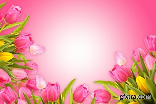 Woman with tulip Mother\'s Day Women\'s Day flowers 25 HQ Jpeg