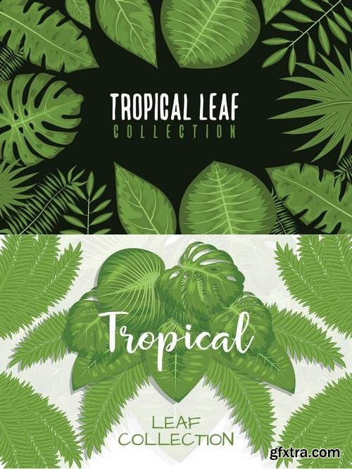 Tropical Leaf Collection