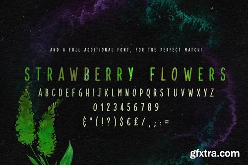 CM - Strawberry Blossom 2235711