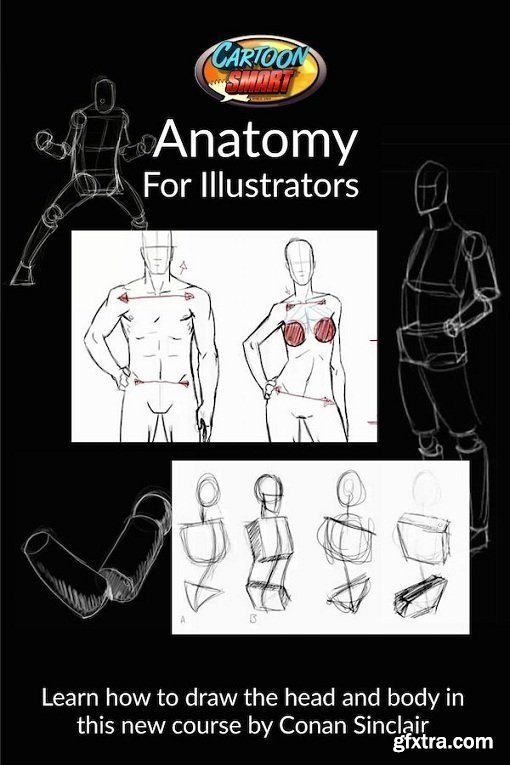 CartoonSmart - Anatomy for Illustrators