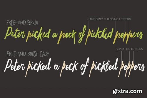 Freehand Brush Font Family - 6 Fonts