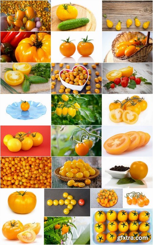 Yellow tomato vegetable 25 HQ Jpeg