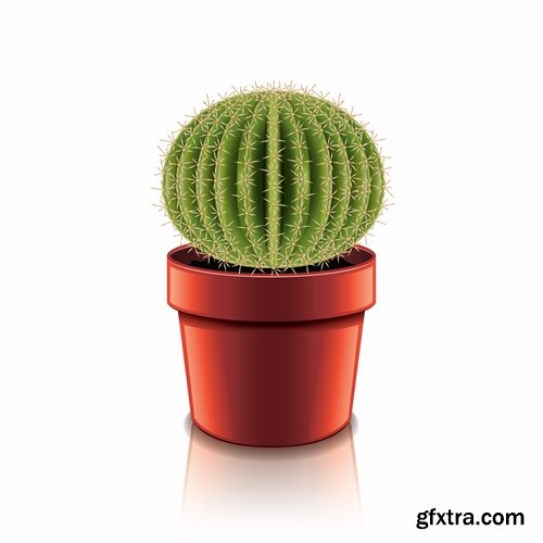 Cactus plant flower icon logo thorn vector image 25 EPS