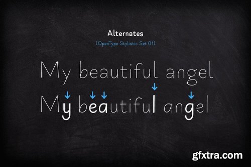 CreativeMarket Primaria 2216166 - 6 Fonts