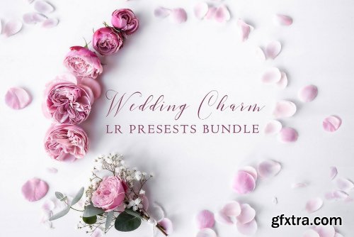 CreativeMarket 500+ Wedding Charm LR Presets Bundle 2259456