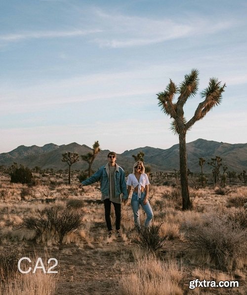 DOYOUTRAVEL Cali Road Trip Lightroom Presets Collection