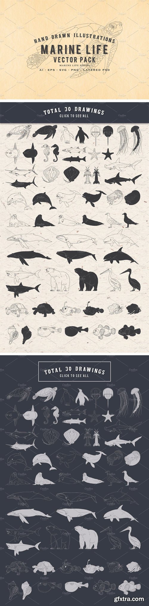 CM - 30 Hand Drawn Marine Life Vector Set 2316539