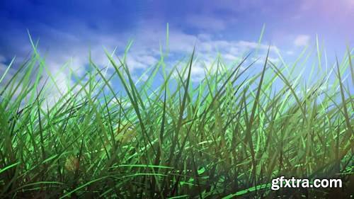 MA - Grass And Sky Motion Graphics 54731