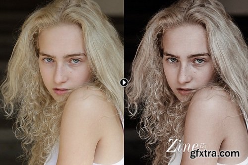 Zine Volume II Lightroom Presets