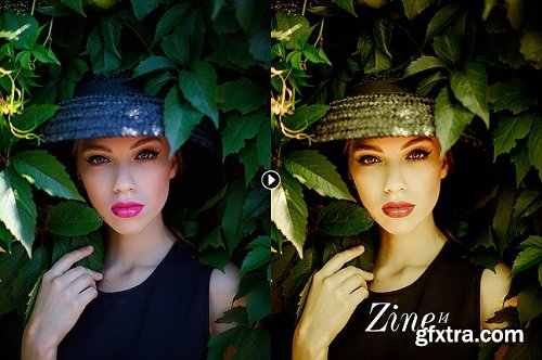 Zine Volume II Lightroom Presets