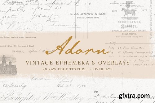 CM - Adorn - Vintage Ephemera & Overlays 2189371