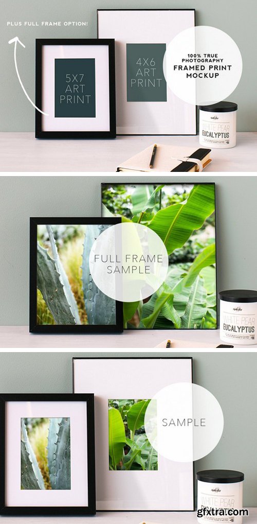 CM - Eucalyptus Frame Mockup #1 2277536