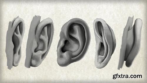 Methods for Drawing the Human Ear