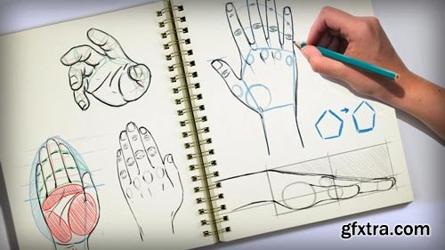 Methods for Drawing the Human Hand