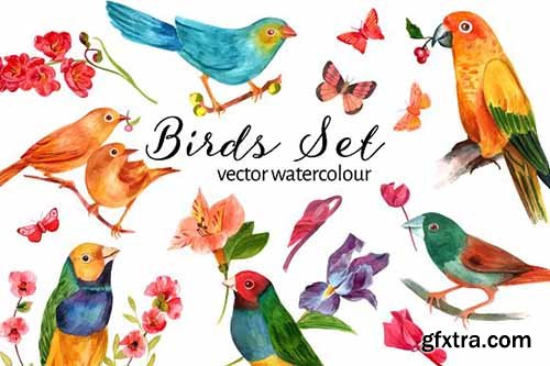 CreativeMarket - Vector Watercolour Birds Set 2312226