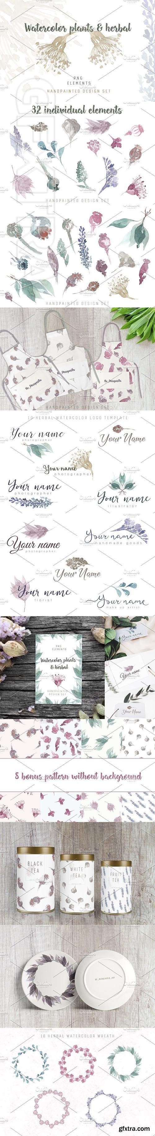 CreativeMarket - Watercolor plants & herbal elements 2309870