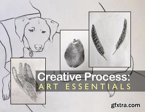 Creative Process: ART ESSENTIALS / Contour / Draw sensational lines