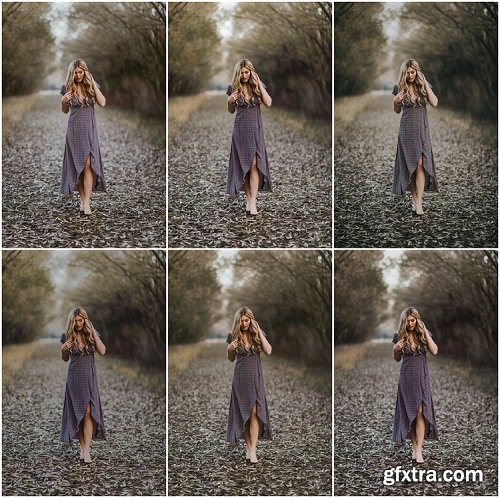 Twyla 01 Color Lightroom Presets Pack