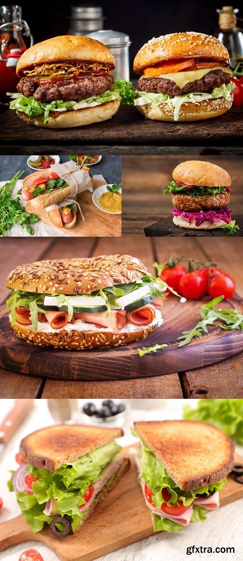 Photos - Appetizing Fastfood Mix 124