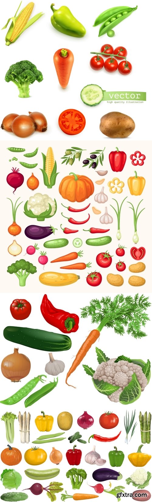 Vectors - Realistic Vegetables Set 6