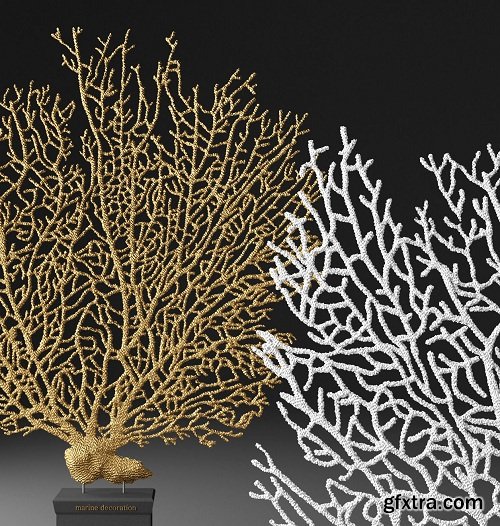 Coral 3D 3D model