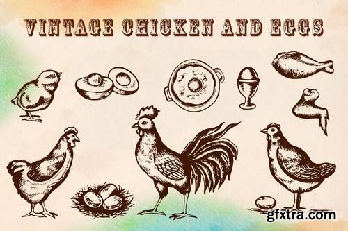 Vintage Chicken and Eggs