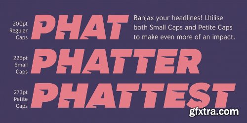 Banjax Notched Font Family - 14 Fonts