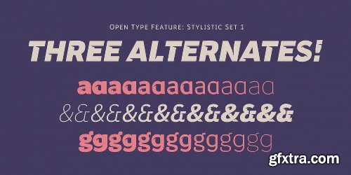 Banjax Notched Font Family - 14 Fonts