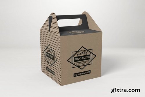 Square Carrier Packaging MockUp