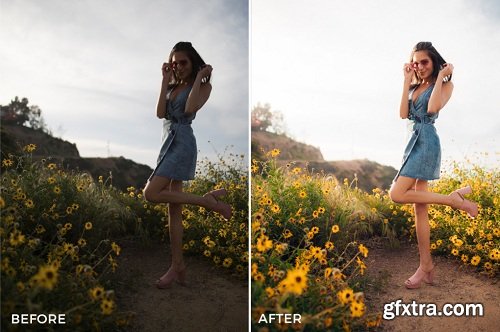 Taylor Cut Films Lightroom Presets Bundle