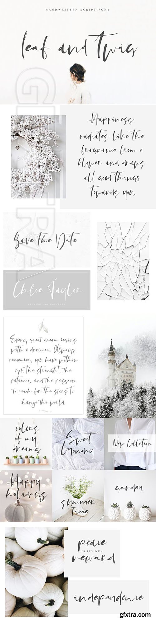 CreativeMarket - Leaf and Twig 2291653