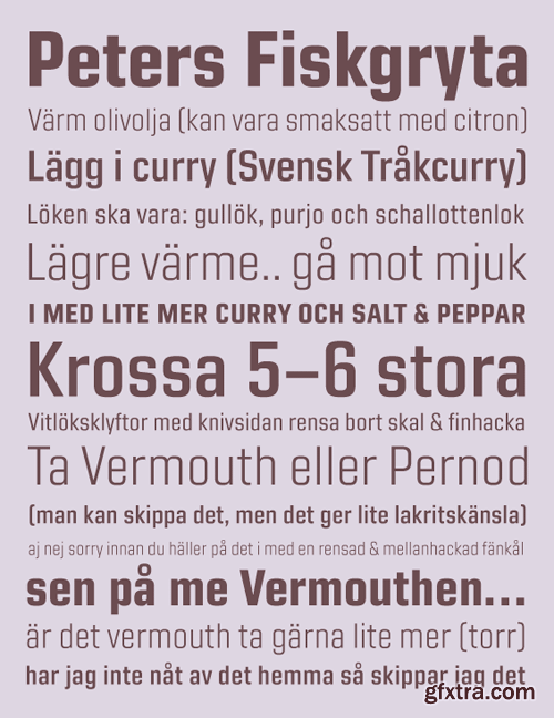 Bruhn Sans Font Family