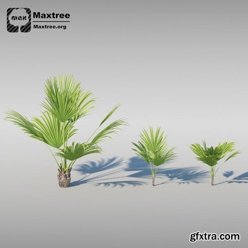 Maxtree - Complete Collection 3D Plants