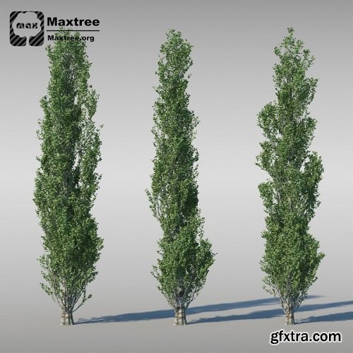 Maxtree - Complete Collection 3D Plants