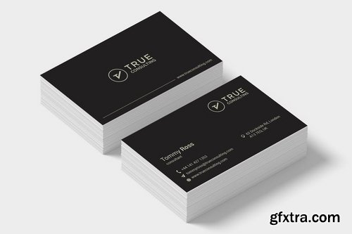 Professional Business Card