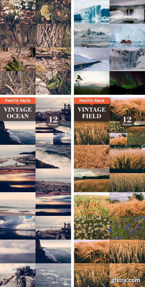 CM - 12 Photo Packs - 144 Nature Photos 871470