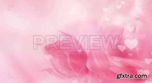 Pink Rose And Hearts Background - Motion Graphics 65673