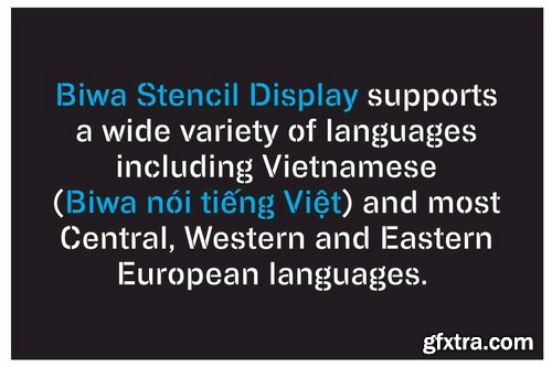 Biwa Stencil Display Font Family