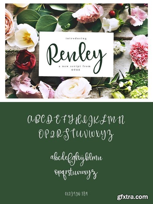 CM - Renley - An Everyday Script 1965286